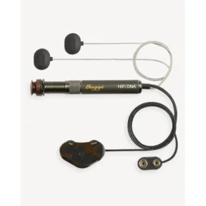 L.R. Baggs HiFi DNA